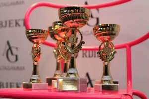 11 главных архитектурных премий мира. Обзор