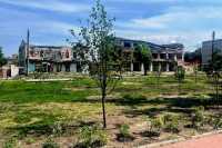 Iзюм отримав зеленi насадження для вiдновлення центрального парку вiд "Київзеленбуду"