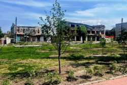 Iзюм отримав зеленi насадження для вiдновлення центрального парку вiд &quot;Київзеленбуду&quot;