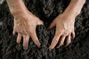 Госземли под Львовом чуть не перешли в руки частникам