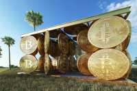 Из криптовалюты хотят строить дома