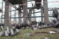 Европа уже отправила в Украину первые трансформаторы