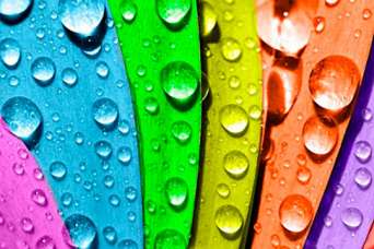 Создана новая самоочищающаяся акриловая краска