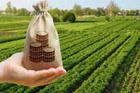 В определение земельного налога внесут изменения