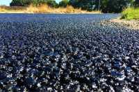 Поставки дорожного битума возросли