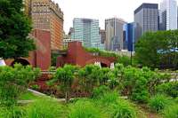 В США создали первую в мире интерактивную карту городских деревьев