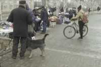 Как выглядит жизнь в Бахмуте без света, тепла и воды под российскими обстрелами