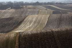 На инвентаризацию земель дали еще два месяца