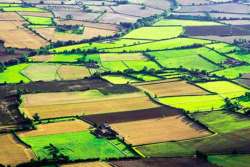 Сделан первый шаг в создании рынка земли