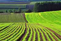 Цiна оренди землi зросте