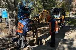 У Днiпрi коренi дерев пошкодили колектор
