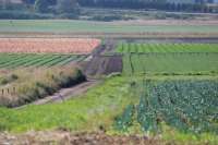 На Prozorro будут продавать права на аренду земли