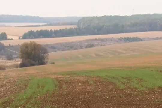 Мобилизация добьет малый бизнес в России