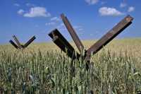 Украинские фермеры терпят убытки из-за сложностей с экспортом