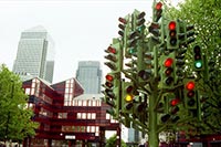 Фото дня - Дерево-светофор