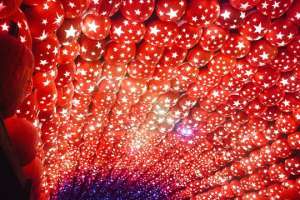 Лучшие конструкции из тыквы на Хэллоуин