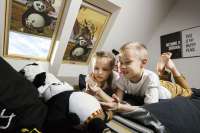 Лучшие аксессуары для лучших в мире мансардных окон