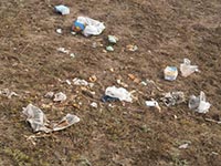 Минрегион заинтересовался административными наказаниями за нарушение благоустройства