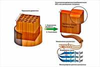 В США создали пуленепробиваемую древесину