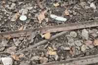 В Херсонской области заминированы даже огороды