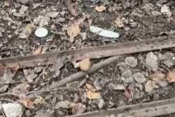 В Херсонской области заминированы даже огороды