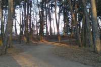 На ремонт парка Львов выделил 30 млн. грн.