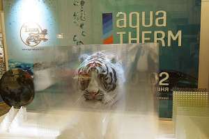 5 самых креативных стендов третьего дня выставки «AquaTherm-2017». Фото