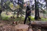 Российский айтишник скрывается от мобилизации в лесу