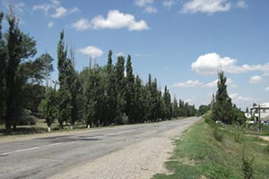 Участок херсонской дороги хотят ремонтировать второй раз за два года