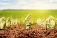 Стоимость земли значительно выросла