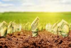 Стоимость земли значительно выросла