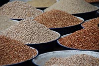 ГАСК одобрил строительство агрообъекта под Николаевом