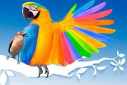 Мировой рынок водно-дисперсионных покрытий стремительно развивается