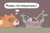 Как делают ремонт гастарбайтеры из Испании