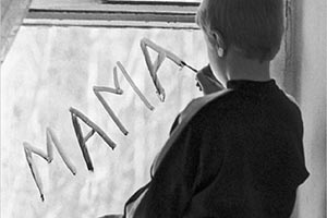 В Житомирской области частники бесплатно пользовались землей сирот