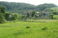 Лес под Львовом попал в частные владения