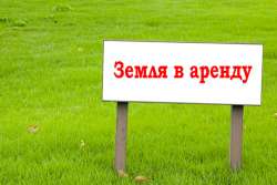 Новые правила аренды земли: что изменилось с 15 июля 2020 года