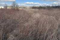 Львiвська громада продасть двi земельнi дiлянки