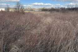 Львiвська громада продасть двi земельнi дiлянки