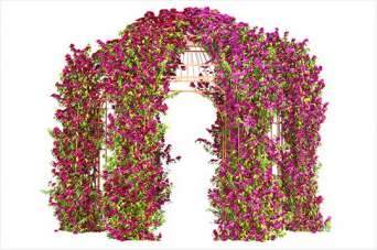 Майструємо садову арку для квітів