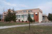 Вместо площадки для собак во Львове будет сквер