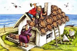 ТОП-5 инструментов, которые необходимы для ремонта на даче