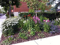 Комиссия по благоустройству Киева осталась довольна двумя районами