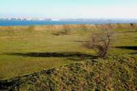 Николаеву срочно потребовалась земля