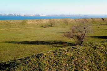 Николаеву срочно потребовалась земля