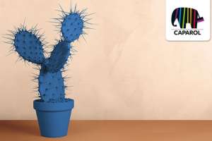 Caparol определила трендовые цвета на будущий, 2018-й год