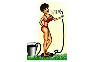 Разрешается ли провести водопровод в садовый домик