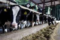 Полтавский ГАСК выписал штрафы на 5 млн. грн.