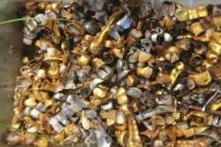 Полиция обыскивает пыточные времен оккупации и опрашивает пострадавших