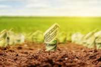 Цена аренды земли выросла